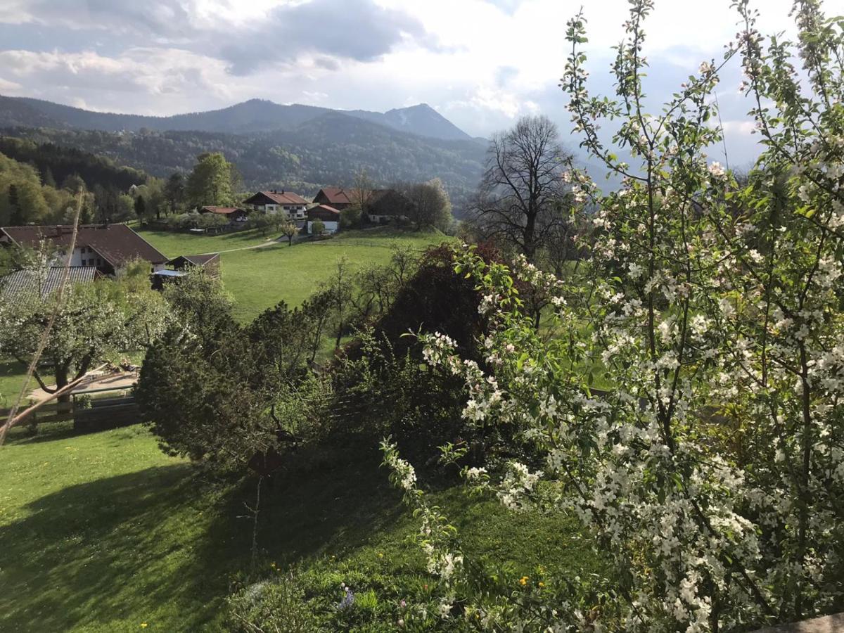 Entspannen Mit Bergpanorama Siegsdorf Exterior foto
